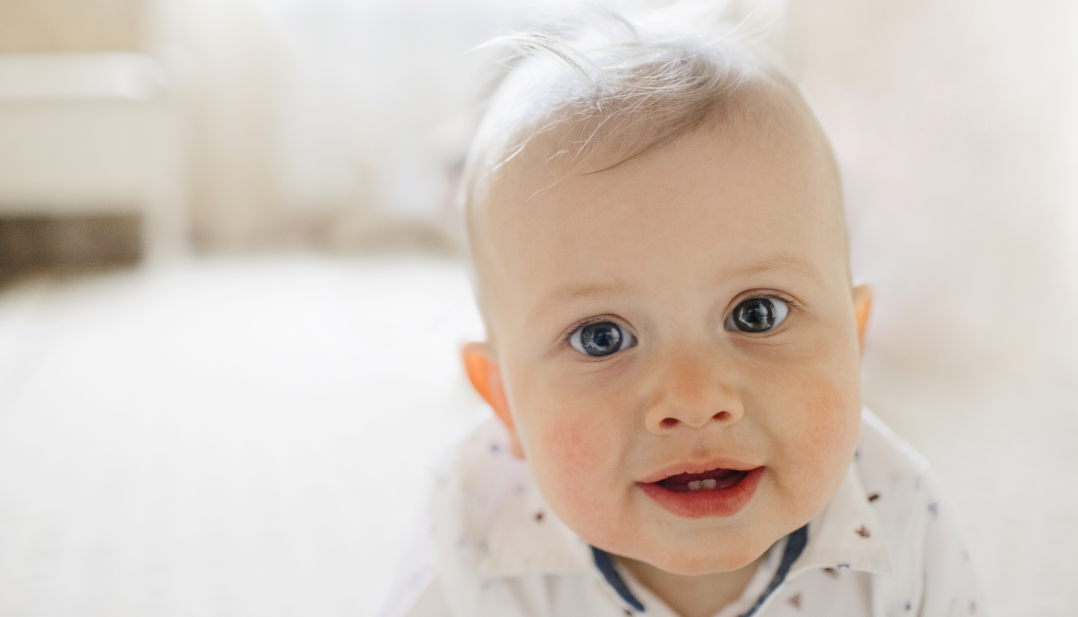 dentizione neonatale